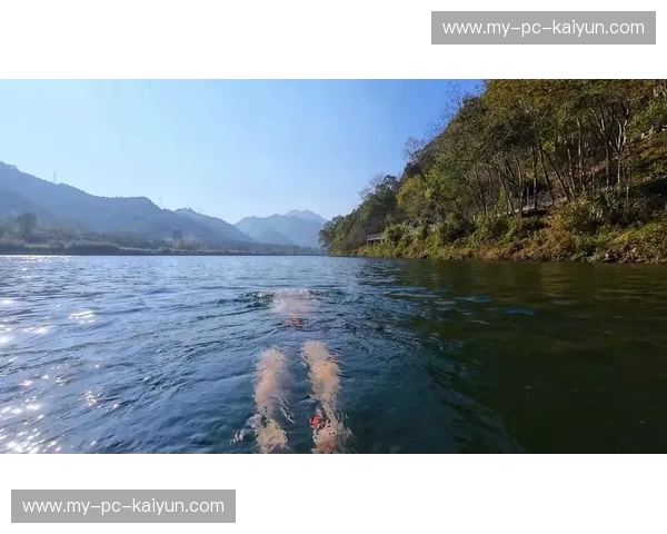 城市心脏里的水光秘境——探访最值得打卡的游泳体育馆